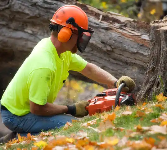 tree services Nashwauk